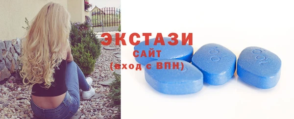 ECSTASY Алзамай