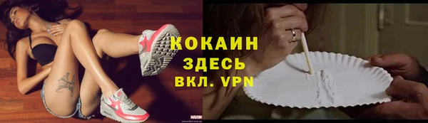 ECSTASY Алзамай