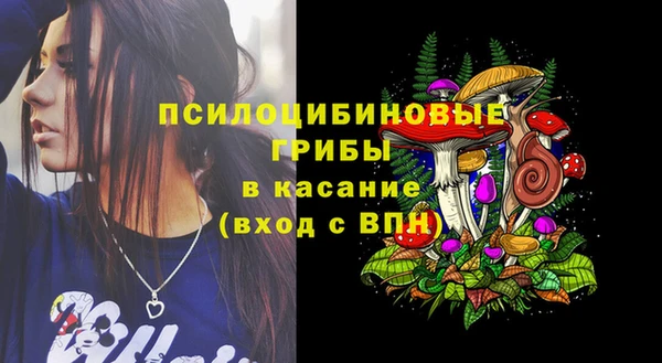 ECSTASY Алзамай