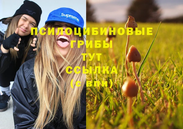ECSTASY Алзамай