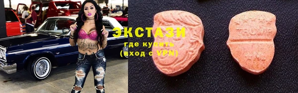 ECSTASY Алзамай