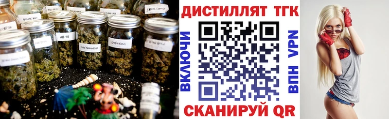 как найти наркотики  Каневская  ТГК вейп с тгк 